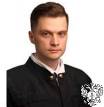 Судья Мальцев Илья Николаевич